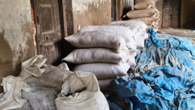 mirzapur government wheat procurement