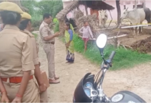 sitapur brother allegedly kills