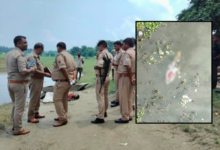 sitapur hardoi border body
