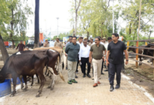 after 4 pm news bareilly