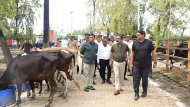 after 4 pm news bareilly