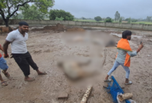 badaun abhigaon gaushala