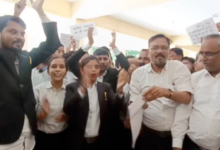 banda advocates 14 point