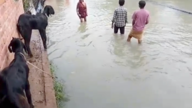 banda chausar village waterlogging