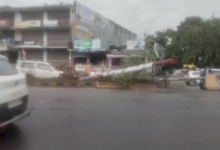 gorakhpur nausadh unipole falls