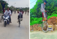 gorakhpur stunt videos raise