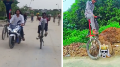 gorakhpur stunt videos raise