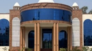 mmmut the world university