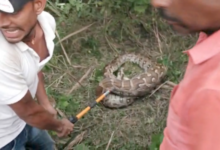 sitapur python video python
