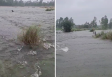 unnao heavy rain sai