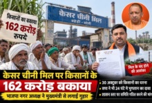 bareilly kesar sugar mill