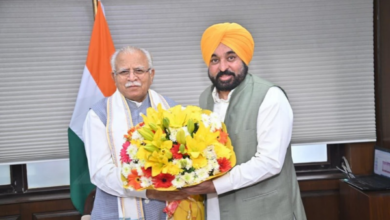 bhagwant mann punjab electricity