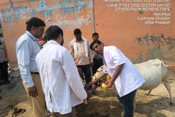 hardoi sandila pashu arogya