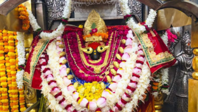 navratri day 3 maa vindhyavasini